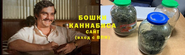 трава Бородино
