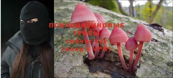 мет Нягань